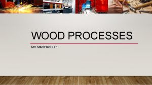WOOD PROCESSES MR MAISEROULLE PRIMARY PROCESSING Harvesting Wood