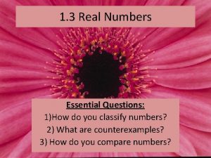 1 3 Real Numbers Essential Questions 1How do