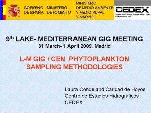 9 th LAKE MEDITERRANEAN GIG MEETING 31 March