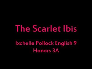 The Scarlet Ibis Ixchelle Pollock English 9 Honors