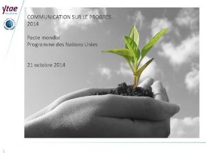 COMMUNICATION SUR LE PROGRES 2014 Pacte mondial Programme