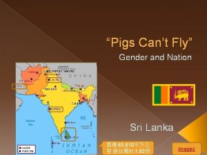 Pigs Cant Fly Gender and Nation Sri Lanka