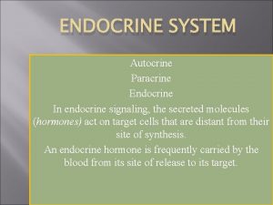 ENDOCRINE SYSTEM Autocrine Paracrine Endocrine In endocrine signaling