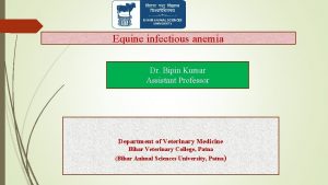 Equine infectious anemia Dr Bipin Kumar Assistant Professor