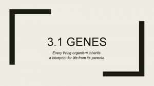 3 1 GENES Every living organism inherits a