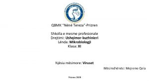 QBMK Nn TerezaPrizren Shkolla e mesme profesionale Drejtimi