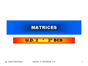 MATRICES U D 2 2 BCS Angel Prieto