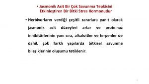 Jasmonik Asit Bir ok Savunma Tepkisini Etkinletiren Bir