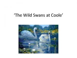 The Wild Swans at Coole The Swan List