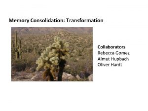 Memory Consolidation Transformation Collaborators Rebecca Gomez Almut Hupbach