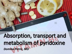 Absorption transport and metabolism of pyridoxine Domina Petric