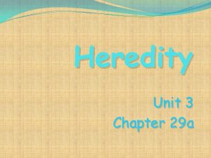 Heredity Unit 3 Chapter 29 a Heredity Who