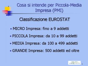 Cosa si intende per PiccolaMedia Impresa PMI Classificazione