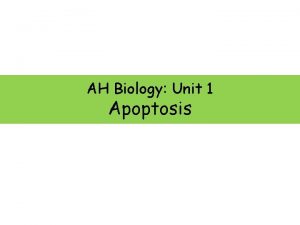 AH Biology Unit 1 Apoptosis Apoptosis Los 1