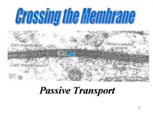 Passive Transport 1 Passive Transport Movement of materials