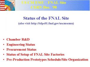 US CM EMU FNAL Site CERN Dec 98