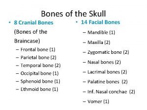 Bones of the Skull 8 Cranial Bones Bones