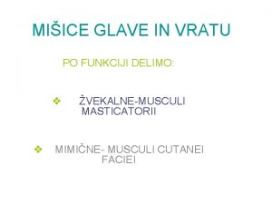 MIICE GLAVE IN VRATU PO FUNKCIJI DELIMO v