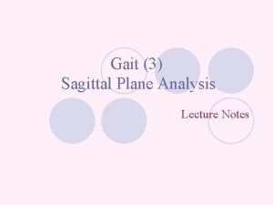 Gait 3 Sagittal Plane Analysis Lecture Notes Example
