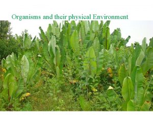 Organisms and their physical Environment Organismal ecology the