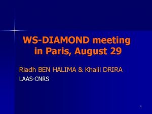 WSDIAMOND meeting in Paris August 29 Riadh BEN