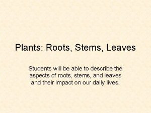Plants Roots Stems Leaves Students will be able