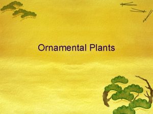 Ornamental Plants Ornamentals Aesthetic qualities Beauty Cultural Individual