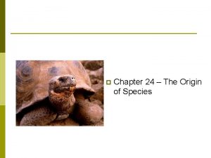 p Chapter 24 The Origin of Species Macroevolution