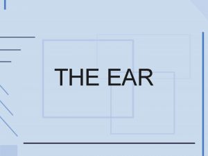 THE EAR The ear consists of the external