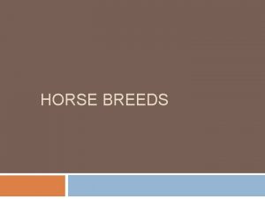 HORSE BREEDS Objectives Identify breeds of horses Describe