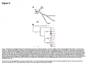 Figure 2 nbsp Species phylogeny based on concatenated