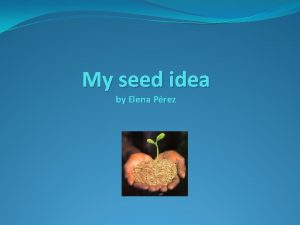 My seed idea by Elena Prez What makes