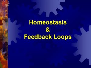 Homeostasis Feedback Loops Homeostasis is the maintenance of