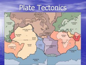 Plate Tectonics The Earths surface consists of rigid