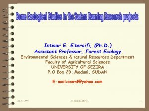 Intisar E Elteraifi Ph D Assistant Professor Forest