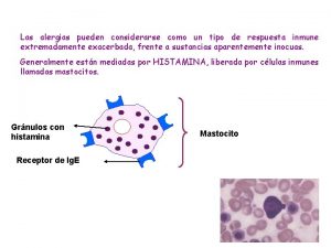 Las alergias pueden considerarse como un tipo de