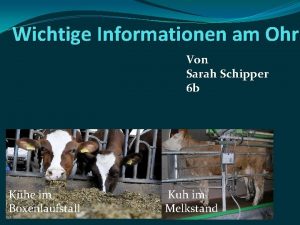 Wichtige Informationen am Ohr Von Sarah Schipper 6