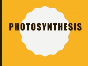 PHOTOSYNTHESIS VOCABULARY Photosynthesis Process by which plants use