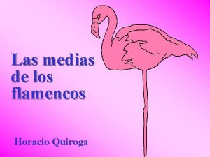 Las medias de los flamencos Horacio Quiroga Cierta