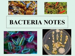 BACTERIA NOTES Cellular Evolution Prokaryotes and Eukaryotes Current