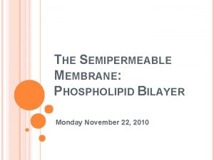 THE SEMIPERMEABLE MEMBRANE PHOSPHOLIPID BILAYER Monday November 22