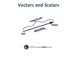 Vectors and Scalars Lab time Lab time will