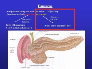 Pancreas Weighs about 100 g and produces about