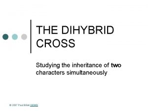 THE DIHYBRID CROSS Studying the inheritance of two