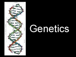 Genetics Genetics The study of heredity How traits