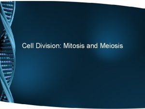 Cell Division Mitosis and Meiosis Cell Division in
