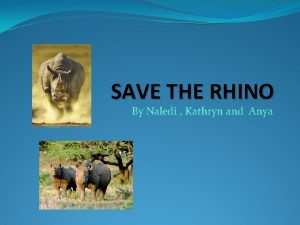 SAVE THE RHINO By Naledi Kathryn and Anya