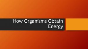 How Organisms Obtain Energy Transformation of Energy All