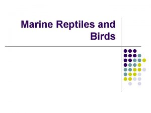 Marine Reptiles and Birds Class Reptilia Characteristics l