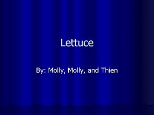 Lettuce By Molly and Thien Lettuce Information Lettuce